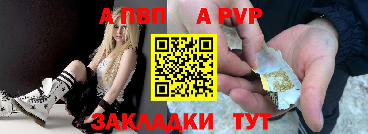 Alfa_PVP СК КРИС Грозный